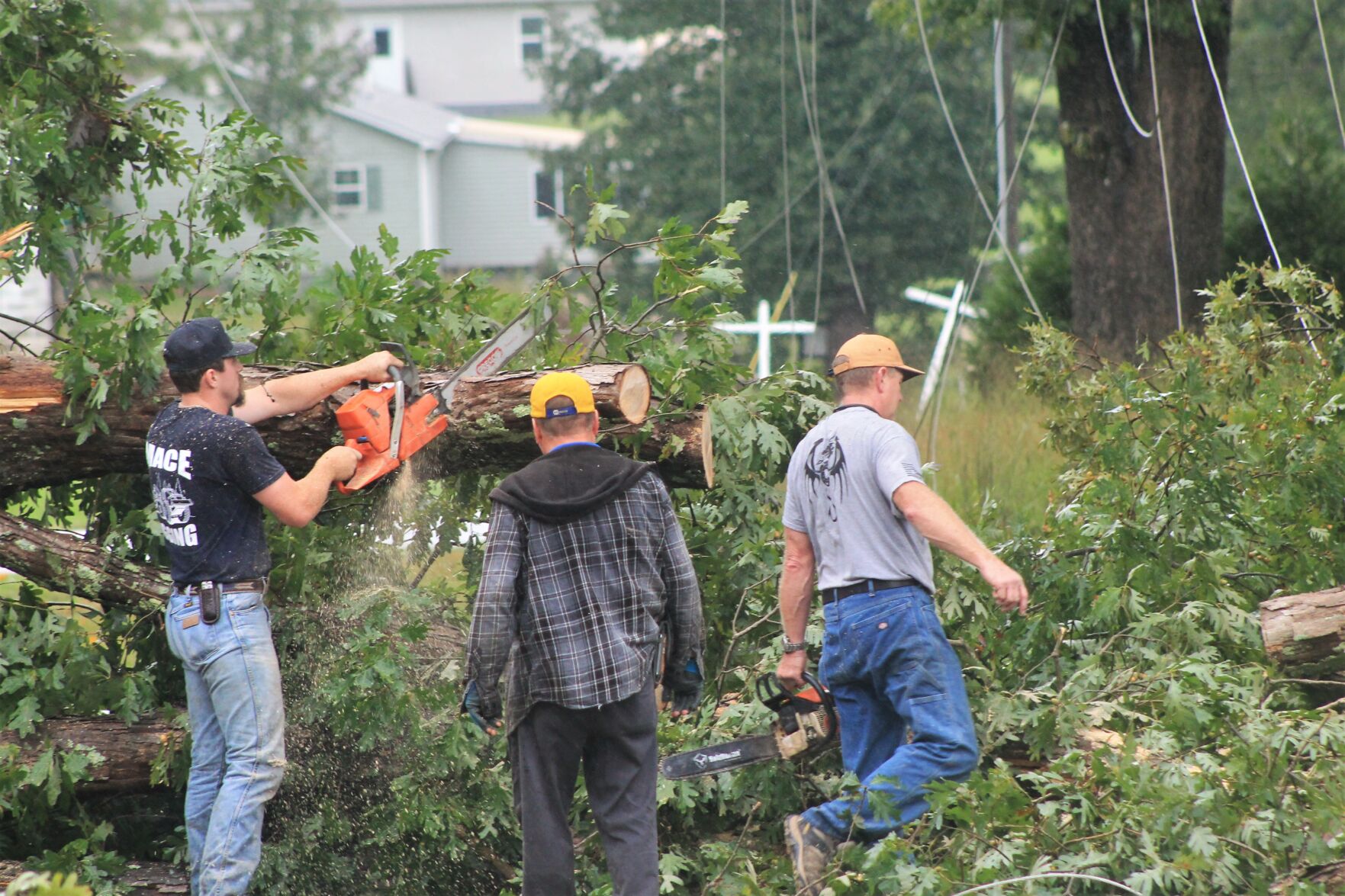 Trees down US 70 Burke County after Helene (copy)